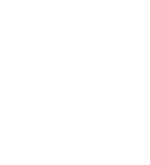 new_crown